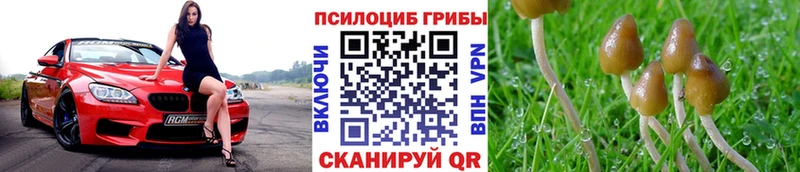 omg как зайти  Дагестанские Огни  Галлюциногенные грибы мухоморы 